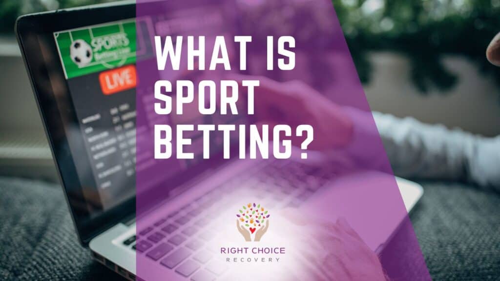 Casino Streaming Platforms List 2